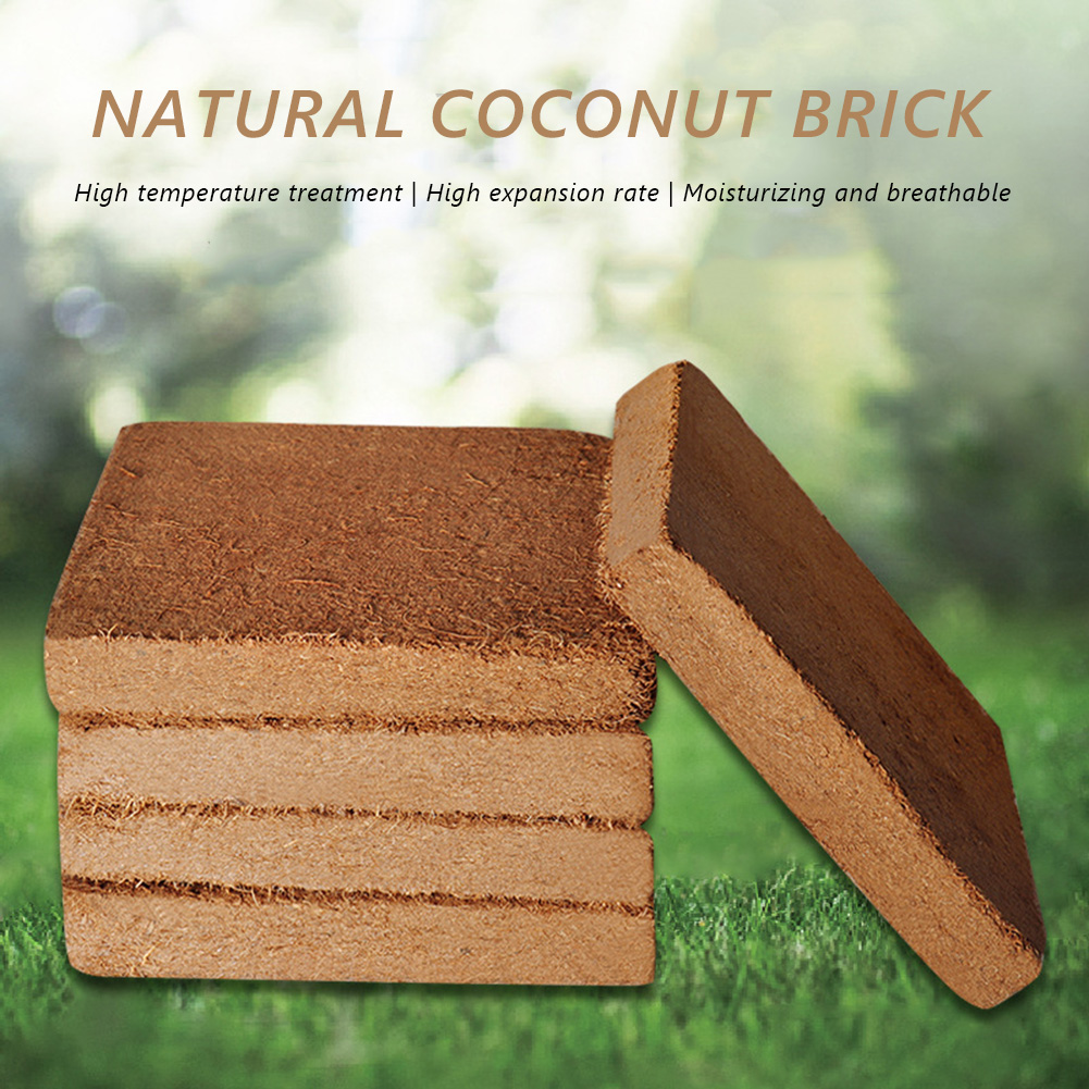 Coco Coir Block - Planta universal de concha de coco