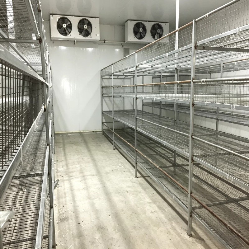 Fazenda Hidropônica em Contêin - Urban Farming Indoor avaliação e preço
